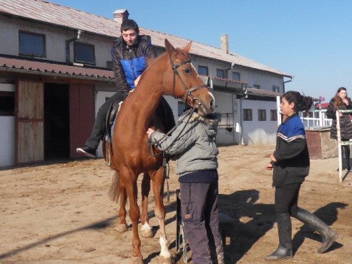 Наши деца със специални потребности посетиха конната база в Арбанаси