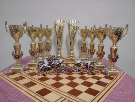 Детски шахматен турнир ще открие д-р Гецова за Купа…